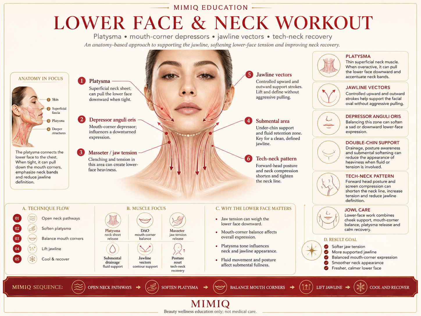MIMIQ infographic showing platysma depressor anguli oris jawline vectors double chin support jowl care and tech neck recovery