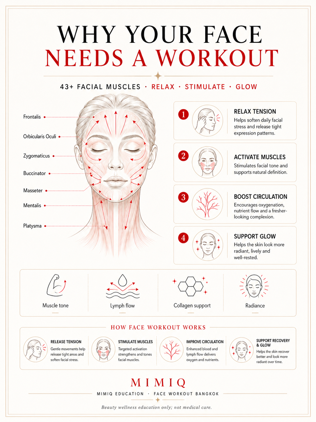 MIMIQ infographic showing facial muscles and why the face needs a workout